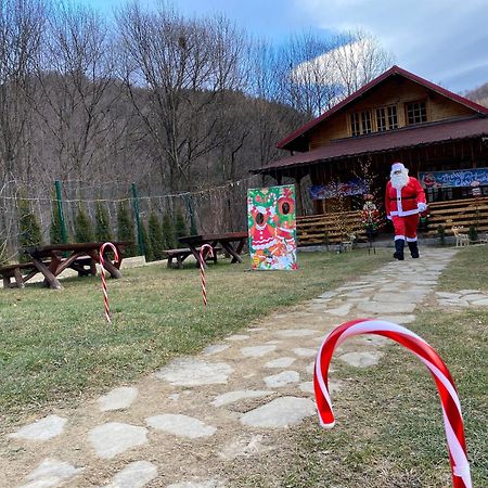 Casutele Doftanei Appartement Teşila Buitenkant foto