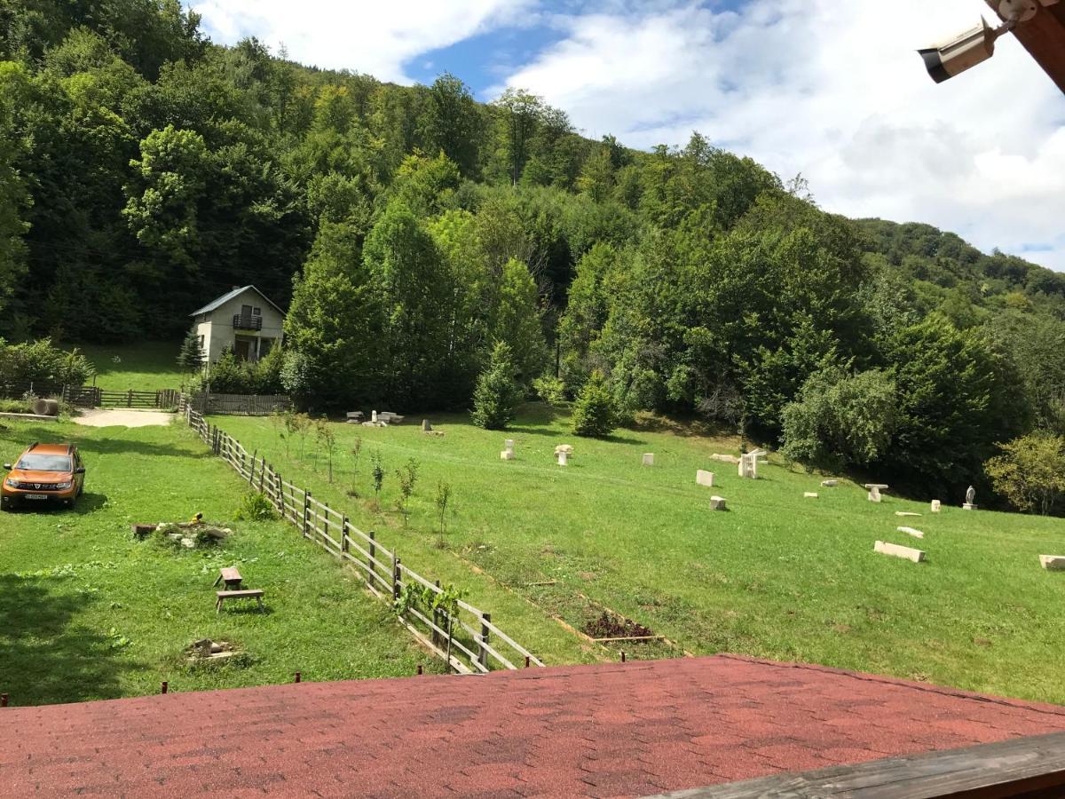 Casutele Doftanei Appartement Teşila Buitenkant foto