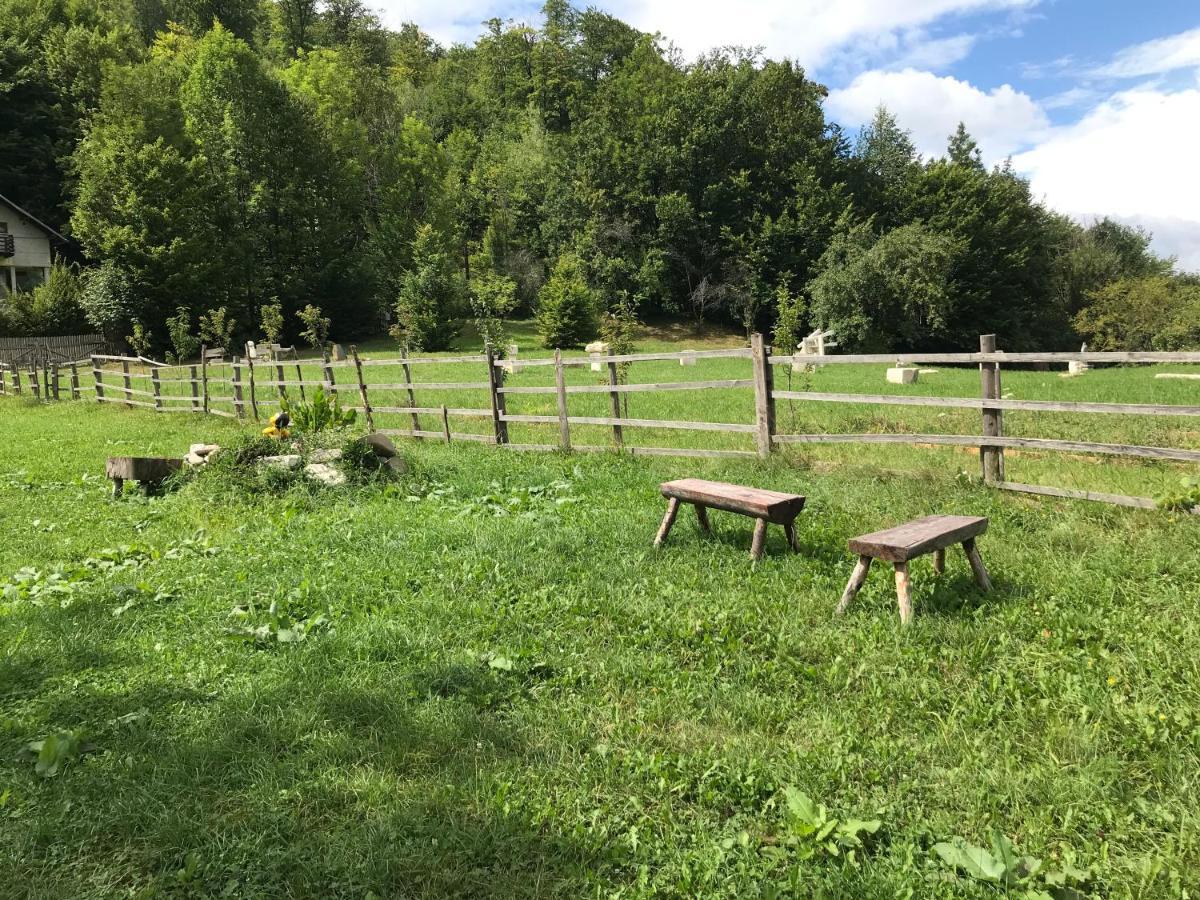 Casutele Doftanei Appartement Teşila Buitenkant foto