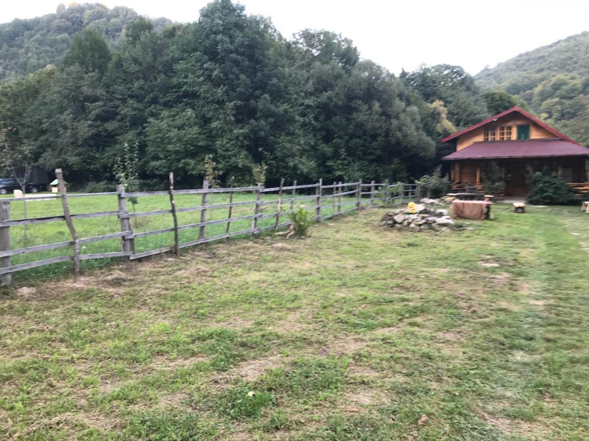 Casutele Doftanei Appartement Teşila Buitenkant foto