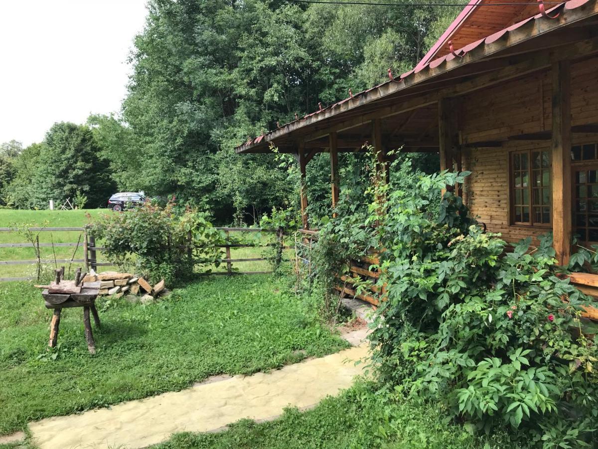 Casutele Doftanei Appartement Teşila Buitenkant foto