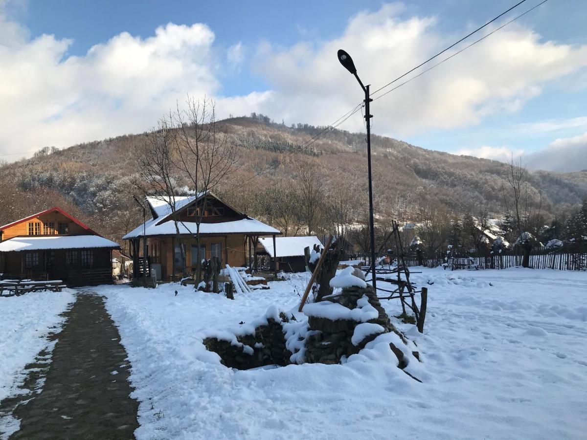 Casutele Doftanei Appartement Teşila Buitenkant foto