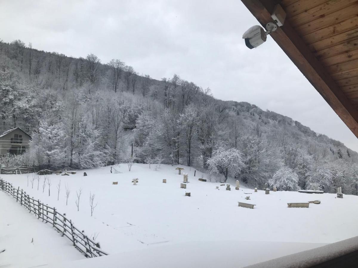 Casutele Doftanei Appartement Teşila Buitenkant foto