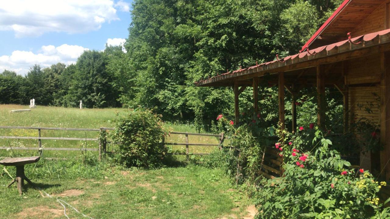 Casutele Doftanei Appartement Teşila Buitenkant foto