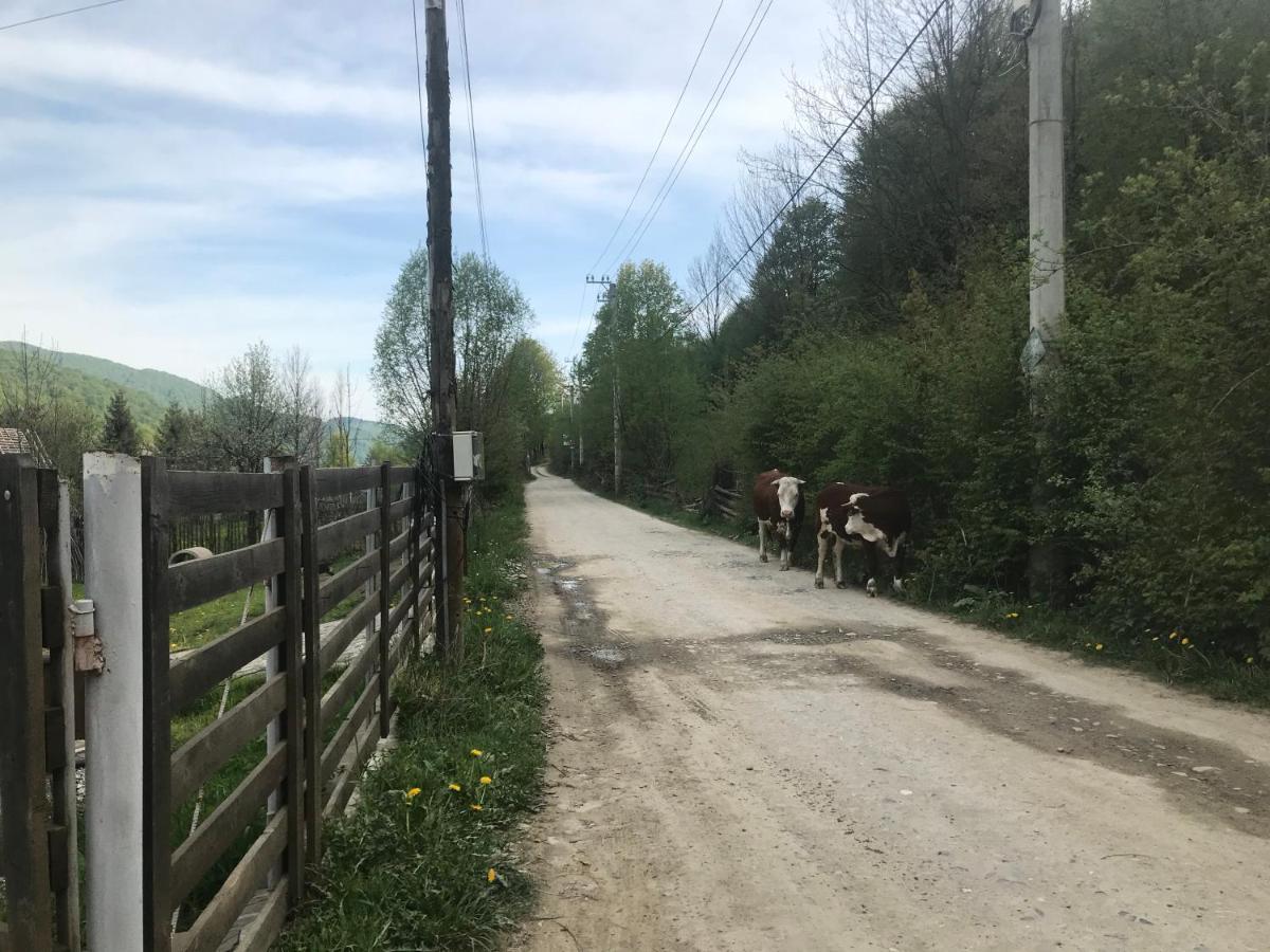 Casutele Doftanei Appartement Teşila Buitenkant foto