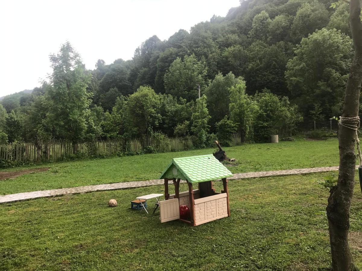 Casutele Doftanei Appartement Teşila Buitenkant foto