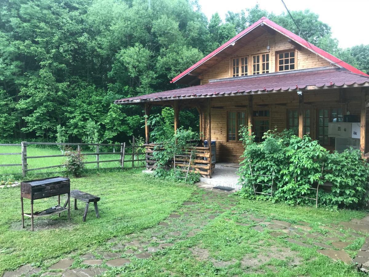 Casutele Doftanei Appartement Teşila Buitenkant foto