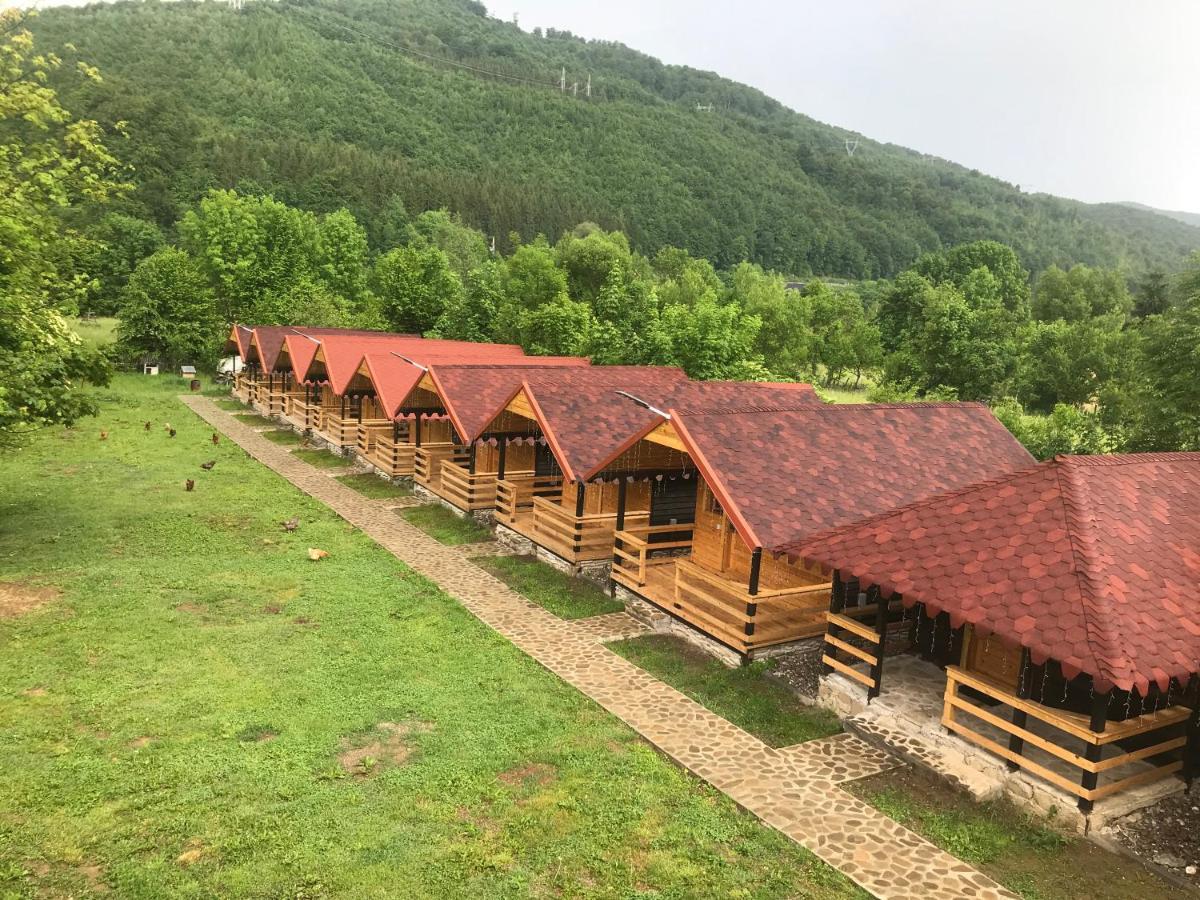 Casutele Doftanei Appartement Teşila Buitenkant foto