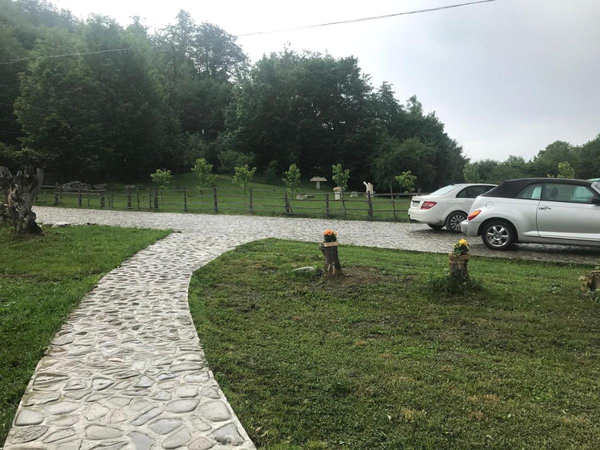 Casutele Doftanei Appartement Teşila Buitenkant foto