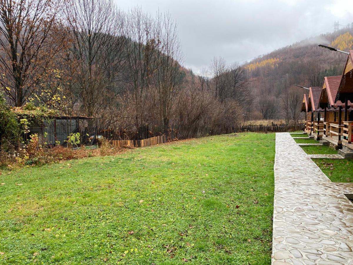 Casutele Doftanei Appartement Teşila Buitenkant foto
